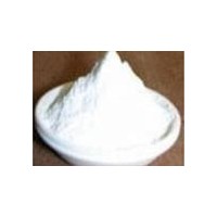 优质食品级玉米低聚肽粉 玉米肽粉生产厂家