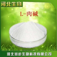 厂家直销L-肉碱使用说明报价添加量用途 左旋肉碱