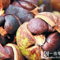油茶籽烘干机价格 油茶籽烘干工艺