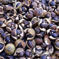 油茶籽烘干机 厢式烤房模式烘干