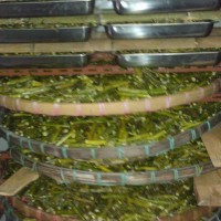 铁皮石斛烘干机 整体厢式高效节能