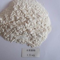 食品级木聚糖酶酶制剂市场价格报价生产厂家
