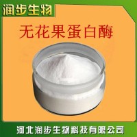 供应食品级 无花果蛋白酶 高活力 高含量 99% 量大从优
