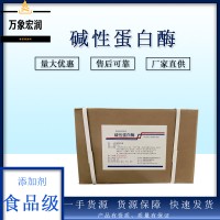 碱性蛋白酶生产商 食用碱性蛋白酶生产厂家