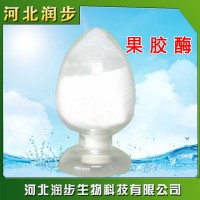 食用复合果胶酶高酶食用复合果胶酶现货供应正品保证