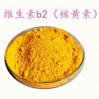 食品级维生素B2维生素厂家直销经销商批发价格产品性能
