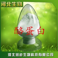 厂家直销酪蛋白使用说明报价添加量用途