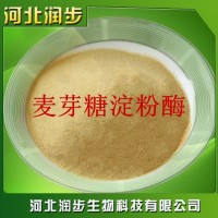 麦芽糖淀粉酶在食品加工中的应用