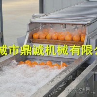 果汁饮料果蔬前处理设备厂家