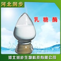 食品级乳糖酶β-半乳糖苷酶乳糖不耐受分解酶