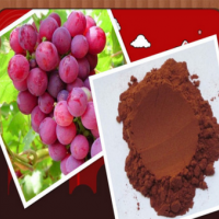 葡萄籽提取物在食品加工中的应用