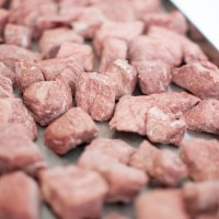 厂家直销食品肉粒真空冻干机 JRW-10平方真空冻干机设备