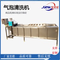 供应花生全自动气泡清洗机  多功能清洗机厂家