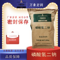 磷酸氢二钠加工厂家 磷酸氢二钠批发商