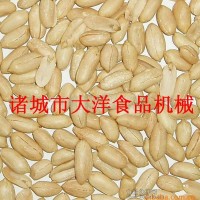 大洋牌酒鬼花生设备好用不贵还提供配方
