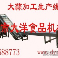 大蒜深加工生产线、大蒜生产线、大蒜加工成套设备