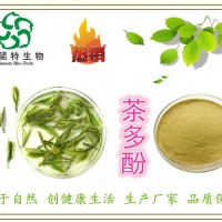 ：茶多酚98% 儿茶素(EC) 没食子儿茶素 绿茶提取物