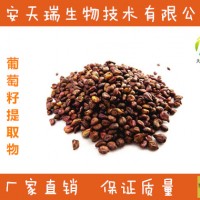 葡萄籽提取物  葡萄籽原花青素95%