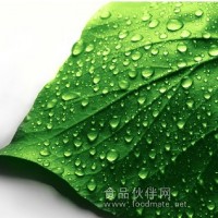 天然绿色素 天然绿色色素 绿色植物色素