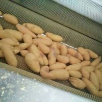 薯类去皮机 新鲜土豆红薯去皮效果