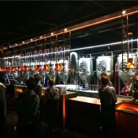 烧烤店自酿啤酒设备，日产300升小型鲜啤设备价格