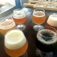 啤酒屋小型鲜啤酿造设备，日产500升精酿啤酒设备生产厂家