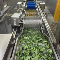全自动气泡清洗机  小龙虾全自动清洗设备 叶菜类清洗机