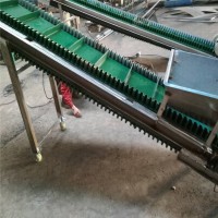 快递分拣线变频调速式 美观上料机