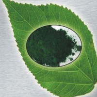 水溶性叶绿素铜钠盐