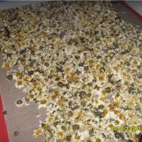 卖菊花烘干杀青设备 希朗机械