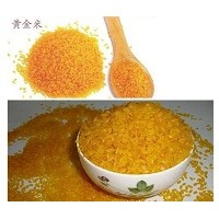 膨化营养米加工机械