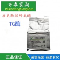 生产厂家 食品级谷氨酰胺转氨酶厂家直销 批发价格高含量供应商