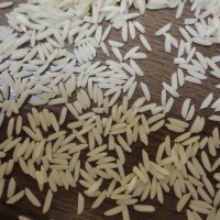 营养大米膨化机