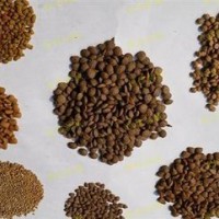 浮水鱼饲料设备 漂浮鱼饲料设备