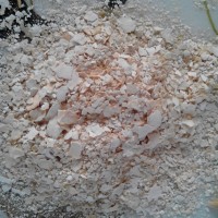 素肉食品设备