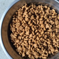 宠物饲料膨化机 狗粮膨化机