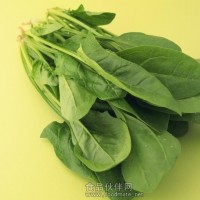 叶绿素铜钠盐使用范围