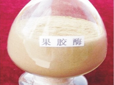 郑州宏兴食品级果胶酶 果胶酶添加量图1
