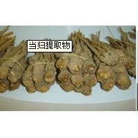 当归提取物-价格  现货包邮