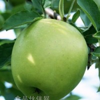 水果着色剂