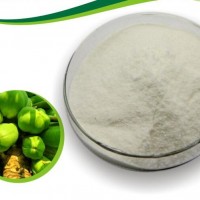 郑州宏兴食品级酶制剂木瓜蛋白酶使用方法