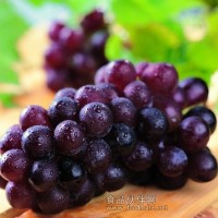 天然色素e120 甜菜红