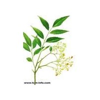 草药香精厂家  草药香精供应商