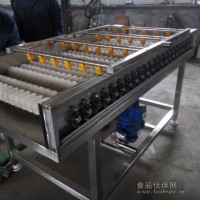 大球盖菇毛辊高压水喷淋清洗机