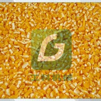 多功能玉米脱皮制糁机器 家用玉米制糁机