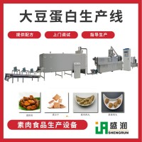 大豆拉丝蛋白生产线人造素肉生产设备  生产设备厂家