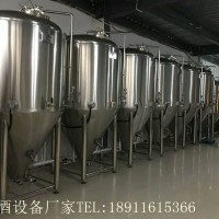 夜市烧烤店小型原浆啤酒设备厂家供应传授酿酒配方