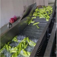 多功能清洗流水线  黄桃全自动气泡清洗机