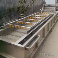 菌类清洗机/白灵菇气泡清洗机