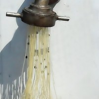 烫面机麦粉自熟压面机压油丝面机